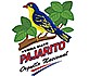 pajarito